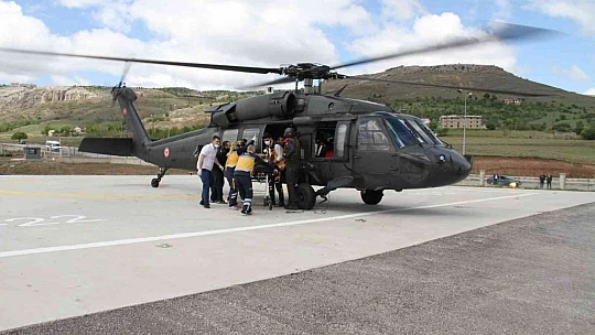 Elazığ'da koyun otlatma kavgası: 1 ölü, 2 yaralı