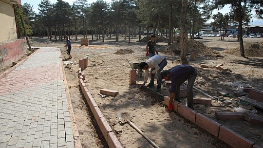 Elazığ'da kullanılamaz durumdaki çamlık alan, yaşam alanına dönüştürülüyor