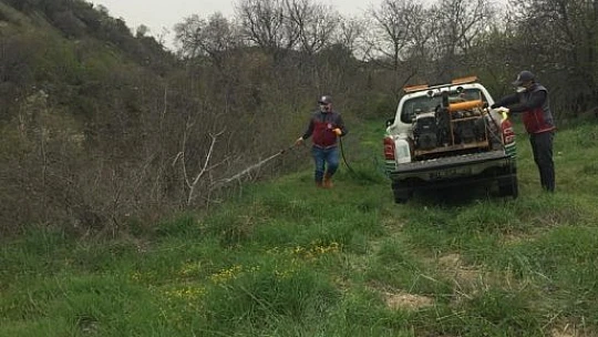 Elazığ'da larva ile mücadele çalışması