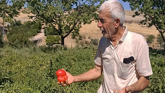 Elazığ'da odun ateşinde salça mesaisi başladı