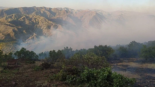 Elazığ'da orman yangını