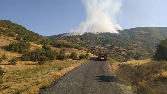 Elazığ'da orman yangını