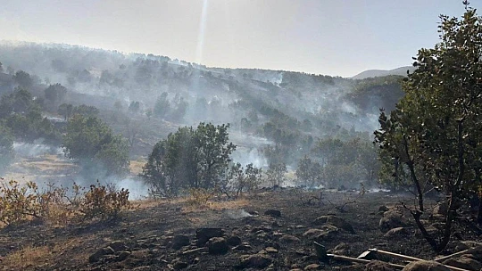 Elazığ'da orman yangını