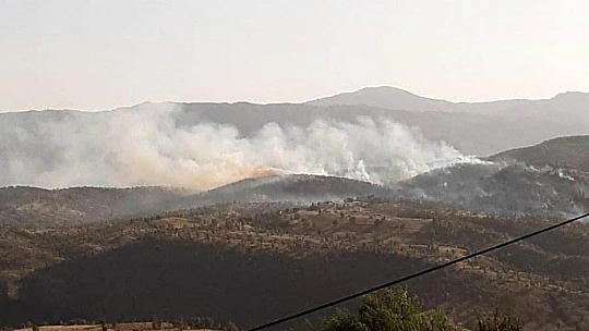 Elazığ'da orman yangını