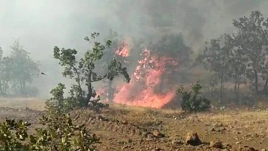 Elazığ'da orman yangını