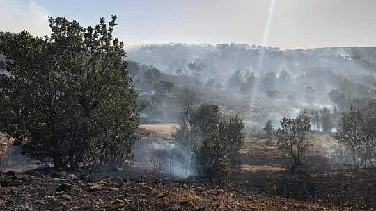 Elazığ'da orman yangını