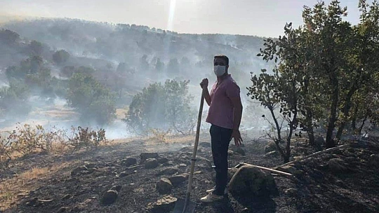 Elazığ'da orman yangını