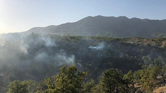 Elazığ'da orman yangını