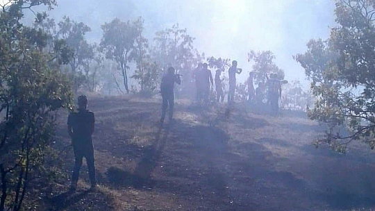 Elazığ'da orman yangını
