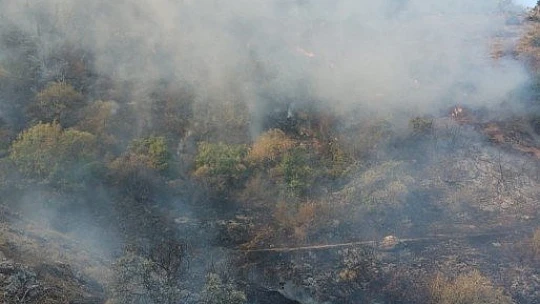 Elazığ'da orman yangınına müdahale sürüyor