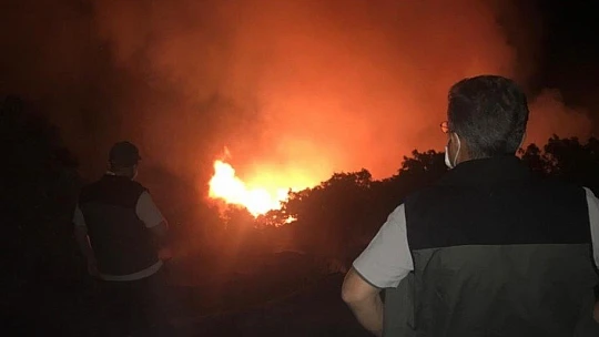 Elazığ'da orman yangınına müdahale sürüyor