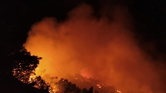 Elazığ'da orman yangınına müdahale sürüyor