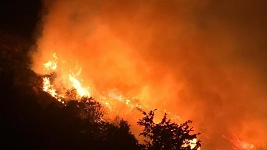 Elazığ'da orman yangınına müdahale sürüyor