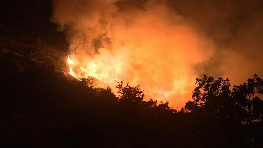 Elazığ'da orman yangınına müdahale sürüyor