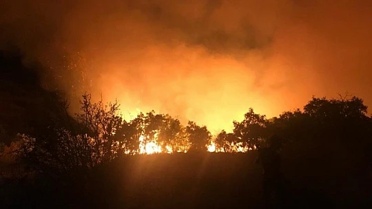 Elazığ'da orman yangınına müdahale sürüyor