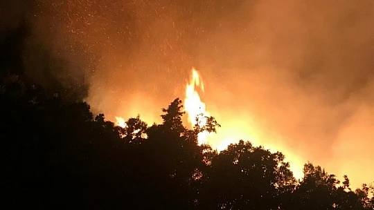 Elazığ'da orman yangınına müdahale sürüyor