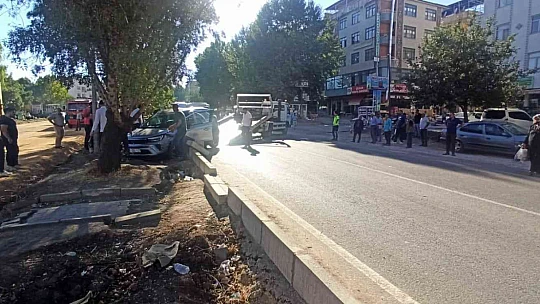 Elazığ'da otomobil ağaca çarptı: 1 yaralı