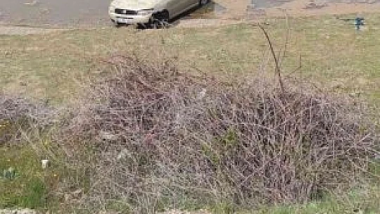 Elazığ'da otomobil göle uçtu, sürücü kendi imkanlarıyla araçtan çıkarak kıyıya yüzdü
