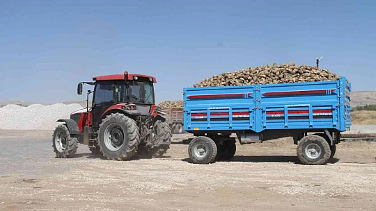 Elazığ'da şeker pancarı alım kampanyası başladı