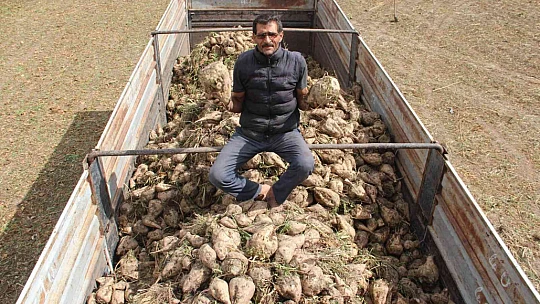 Elazığ'da şeker pancarı mesaisine başlayan çiftçiler fiyattan memnun
