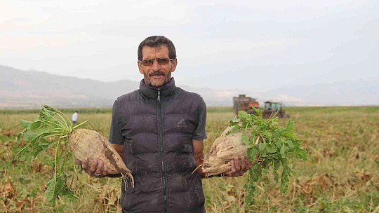 Elazığ'da şeker pancarı mesaisine başlayan çiftçiler fiyattan memnun