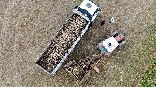 Elazığ'da şeker pancarı mesaisine başlayan çiftçiler fiyattan memnun