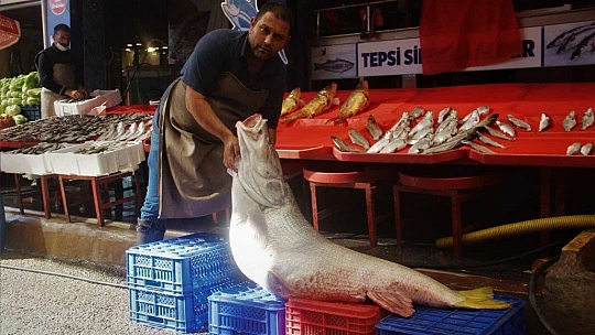 Elazığ'da sezonun ilk dev balığı yakalandı