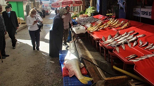 Elazığ'da sezonun ilk dev balığı yakalandı
