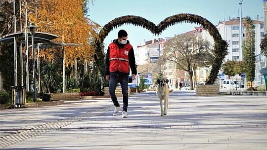 Sokağa çıkma kısıtlamasında 80 gönüllü kan verdi