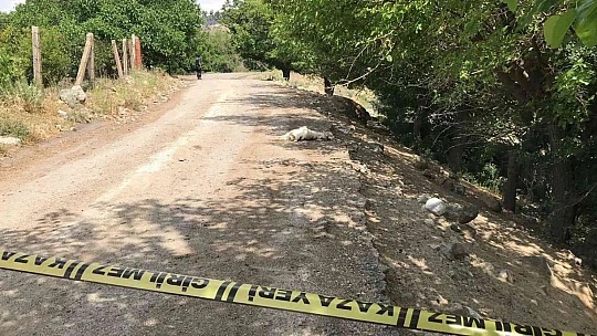 Elazığ'da tarla sulama kavgası: 5 yaralı
