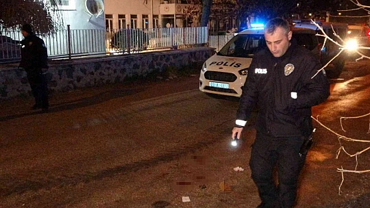 Elazığ'da turisti ve yoldan geçen birini yaralayan suç makinesi tutuklandı