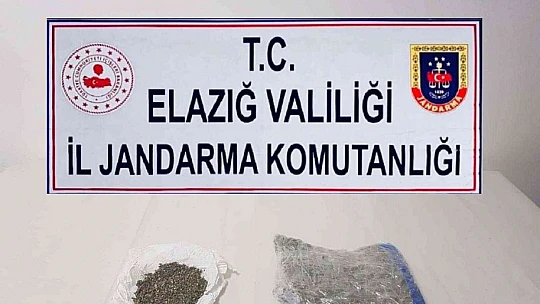 Elazığ'da uyuşturucu operasyonu: 2 gözaltı