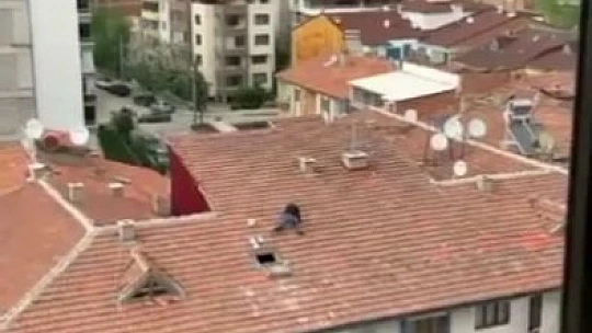 Elazığ'da vatandaşın çatıdaki tehlikeli yürüyüşü yürekleri ağza getirdi