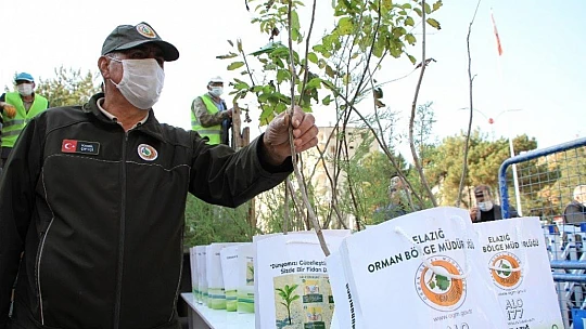 Elazığ'da vatandaşlara 10 bin adet ücretsiz fidan dağıtıldı