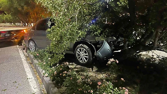 Elazığ'da virajı alamayan otomobil refüje çıkarak ağaca çarptı