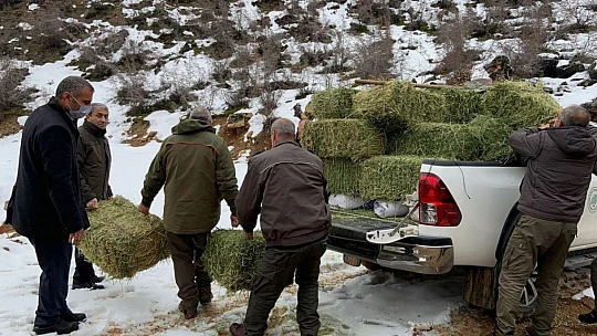 Elazığ'da yaban hayatı için doğaya tonlarca yem bırakıldı