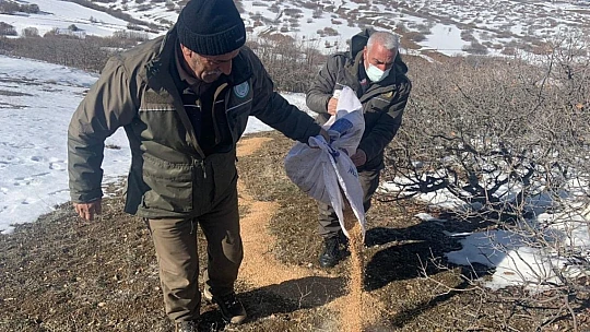 Elazığ'da yaban hayatı için doğaya tonlarca yem bırakıldı