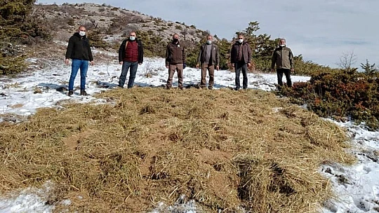 Elazığ'da yaban hayatı için yem desteği sürüyor