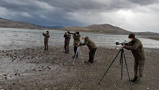 Elazığ'da yaban hayatı için yem desteği sürüyor