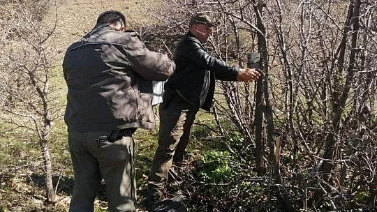 Elazığ'da yaban hayatı ve kaçak avcılar, fotokapanlarla tespit ediliyor
