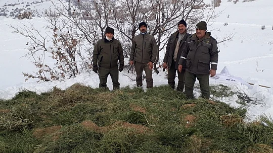 Elazığ'da yaban hayatına bir ayda 7  ton yem bırakıldı