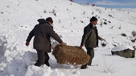 Elazığ'da yaban hayvanları için doğaya 1,5 ton yem bırakıldı