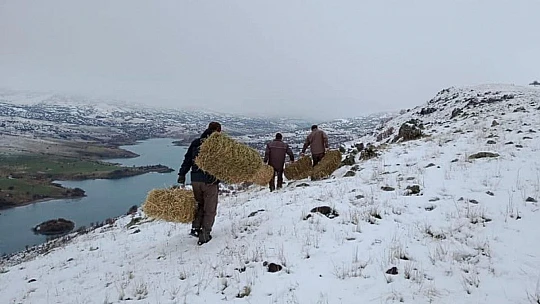 Elazığ'da yaban hayvanları için doğaya 1,5 ton yem bırakıldı