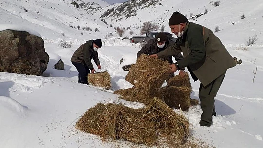 Elazığ'da yaban hayvanları için doğaya 1,5 ton yem bırakıldı