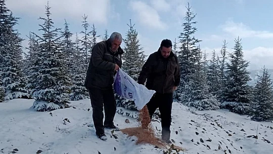 Elazığ'da yaban hayvanları için doğaya yem bırakıldı