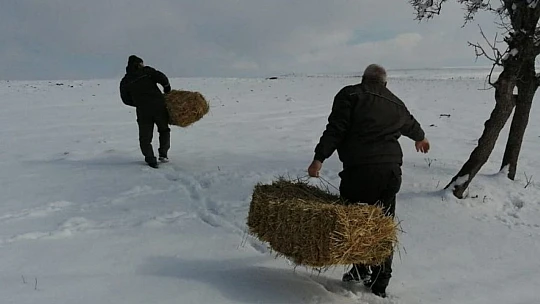 Elazığ'da yaban hayvanları için doğaya yem bırakıldı