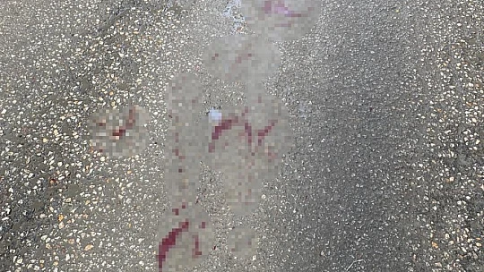 Elazığ'da yan baktın meselesi bıçaklı kavgaya dönüştü: 1 yaralı