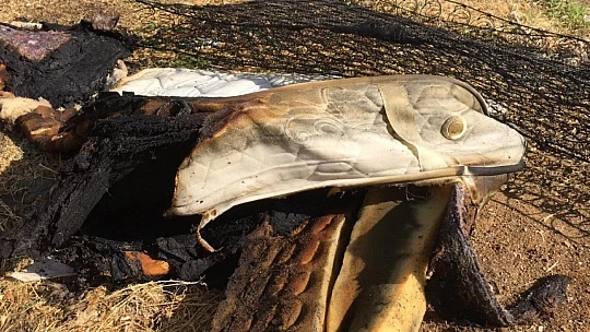 Elazığ'da yangında 8 aylık bebek öldü, 2 çocuk yaralandı
