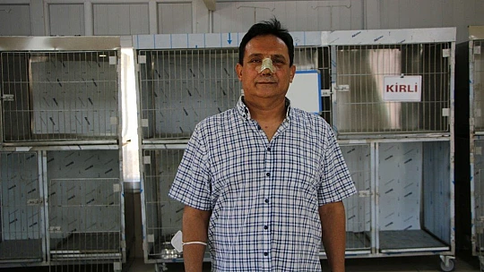 Elazığ'da yaralı yavru ayı, sağlığına kavuştu