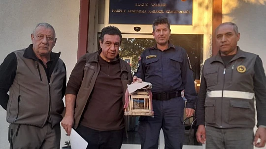 Elazığ'da yasadışı avcılık yapan şahsa idari işlem uygulandı